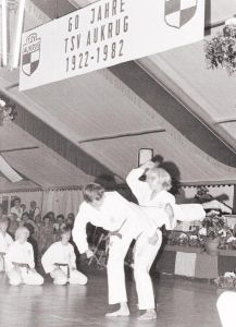 Karate Vorfuehrung.jpg